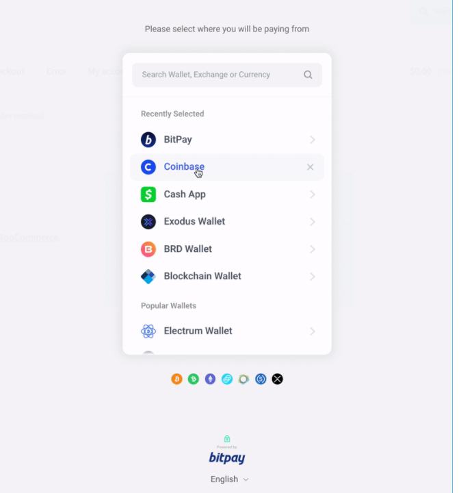 BitPay's New Payment Flow