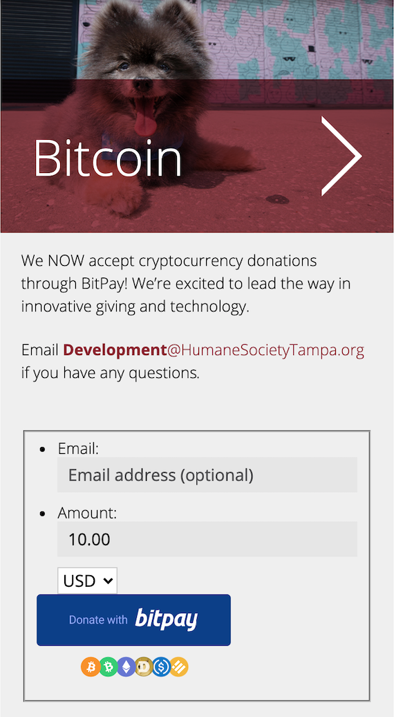 Your July Newsletter for All Things BitPay and Crypto