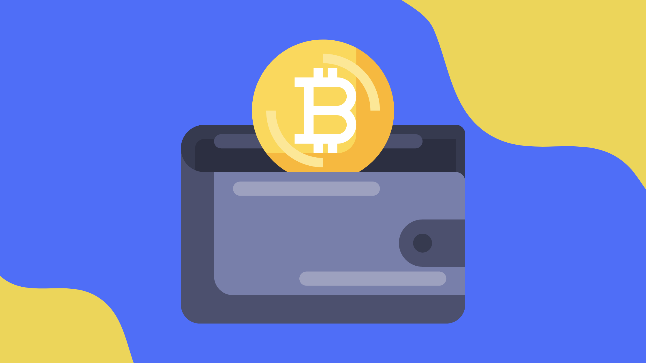 bitcoin wallet guide: choose & use the best wallet in 2022 | bitpay