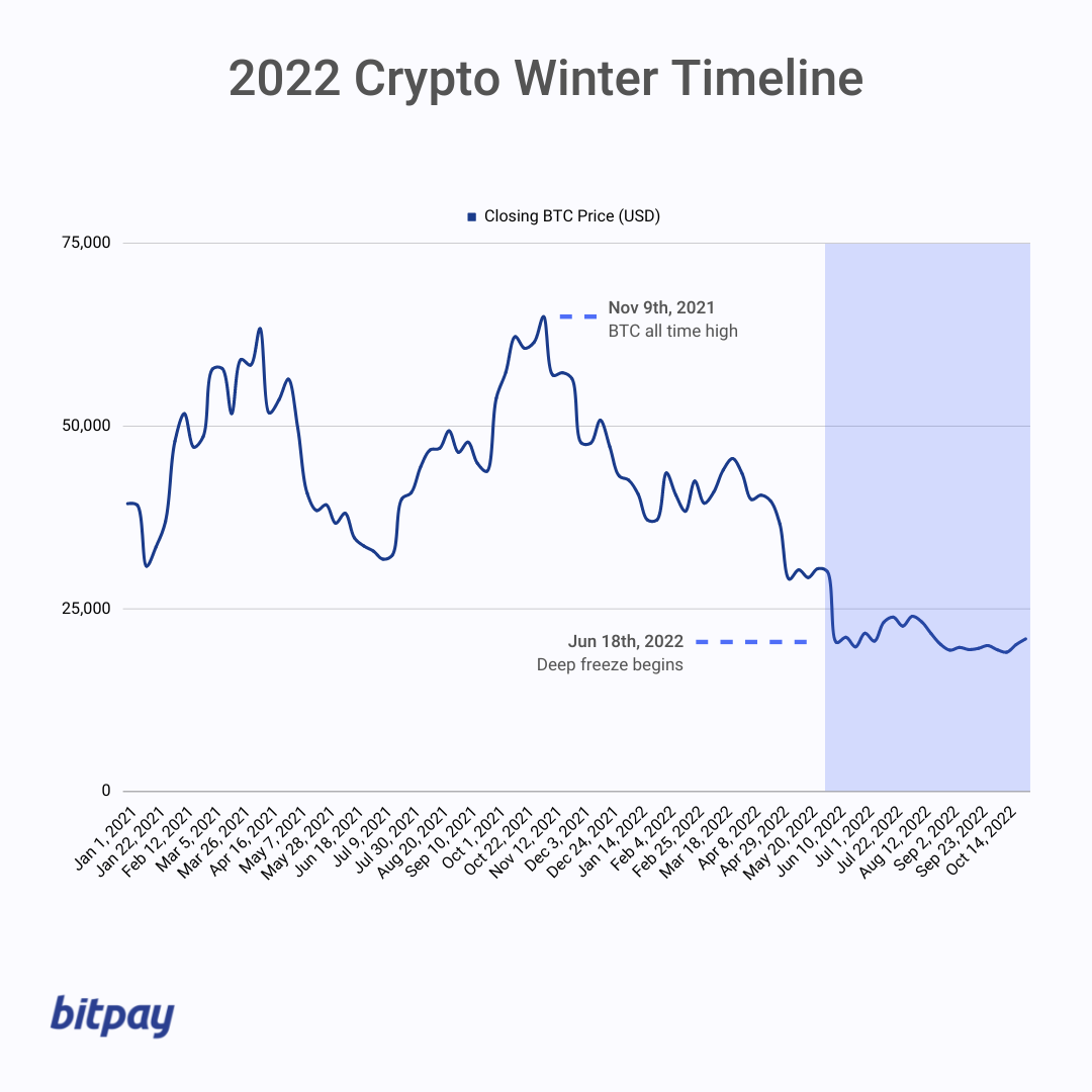 Crypto Winter 2022 Survival Tips to Get You Through the Freeze