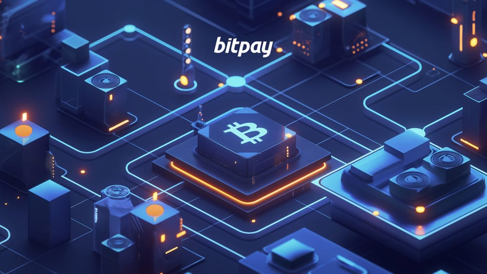 What Are Bitcoin Nodes? A Beginners Guide To BTC Nodes | BItPay