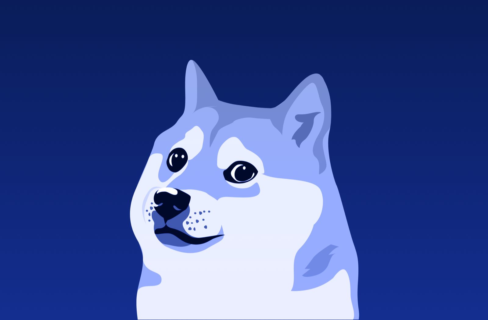 Spend, Load and Store Dogecoin with BitPay