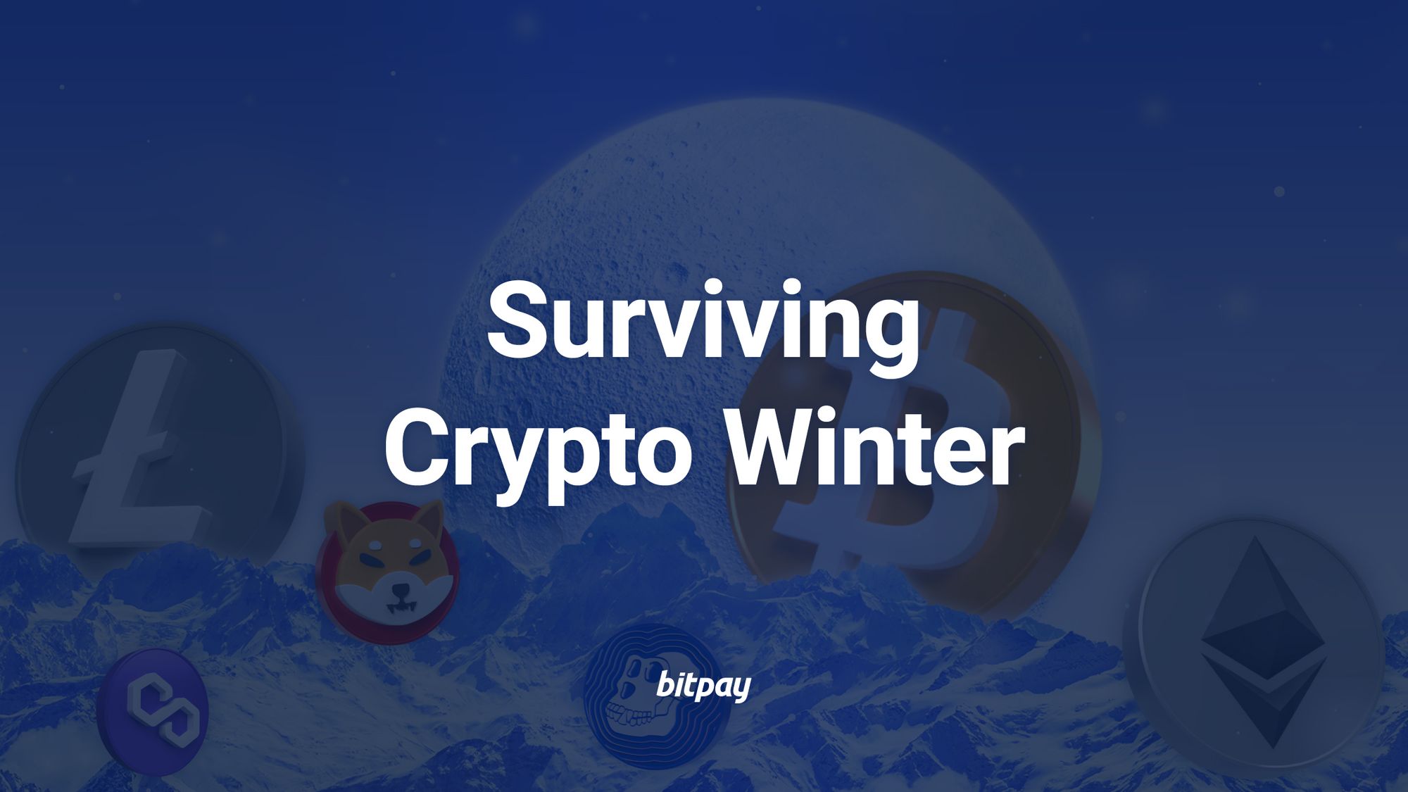 Crypto Winter 2022: Survival Tips to Get You Through the Freeze