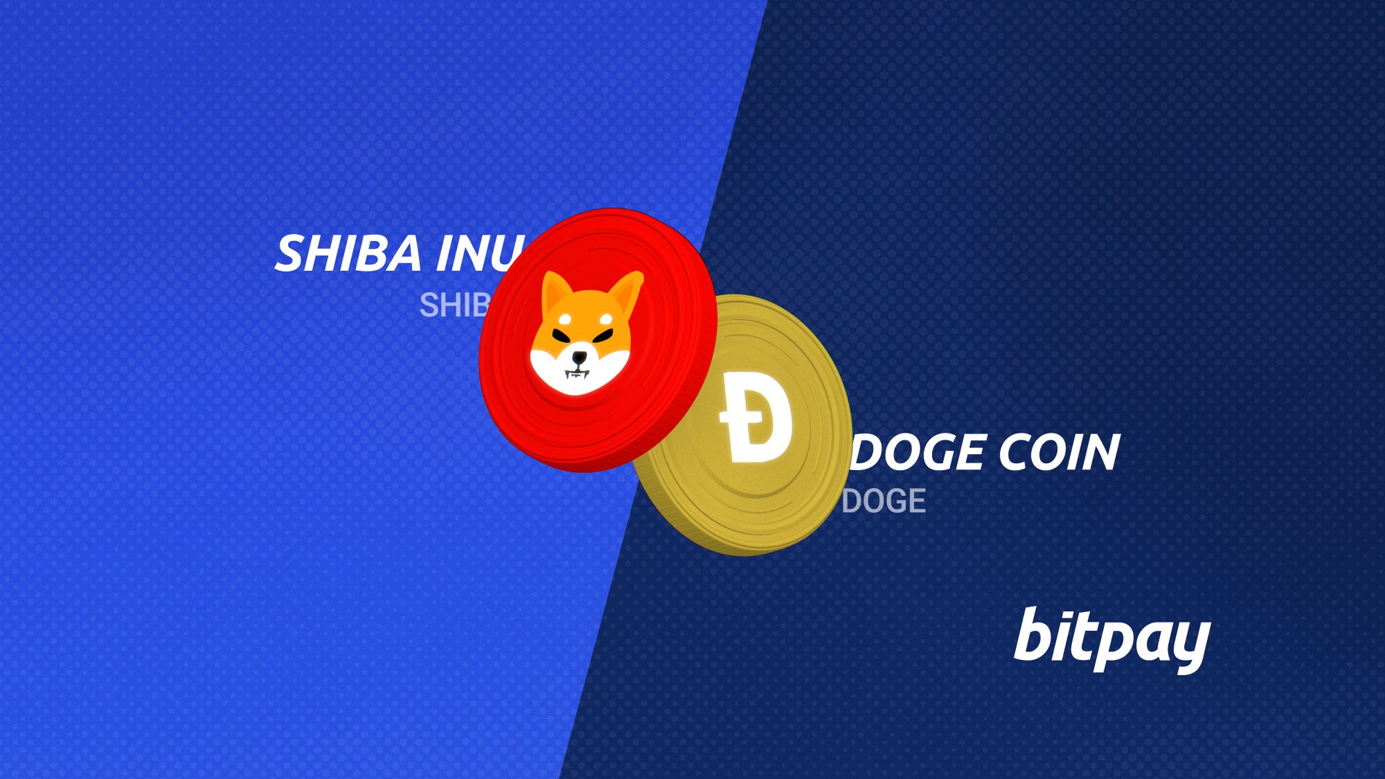 Dogecoin vs Shiba Inu Coin: What's the Difference as a Payment Method, Technology and Investment