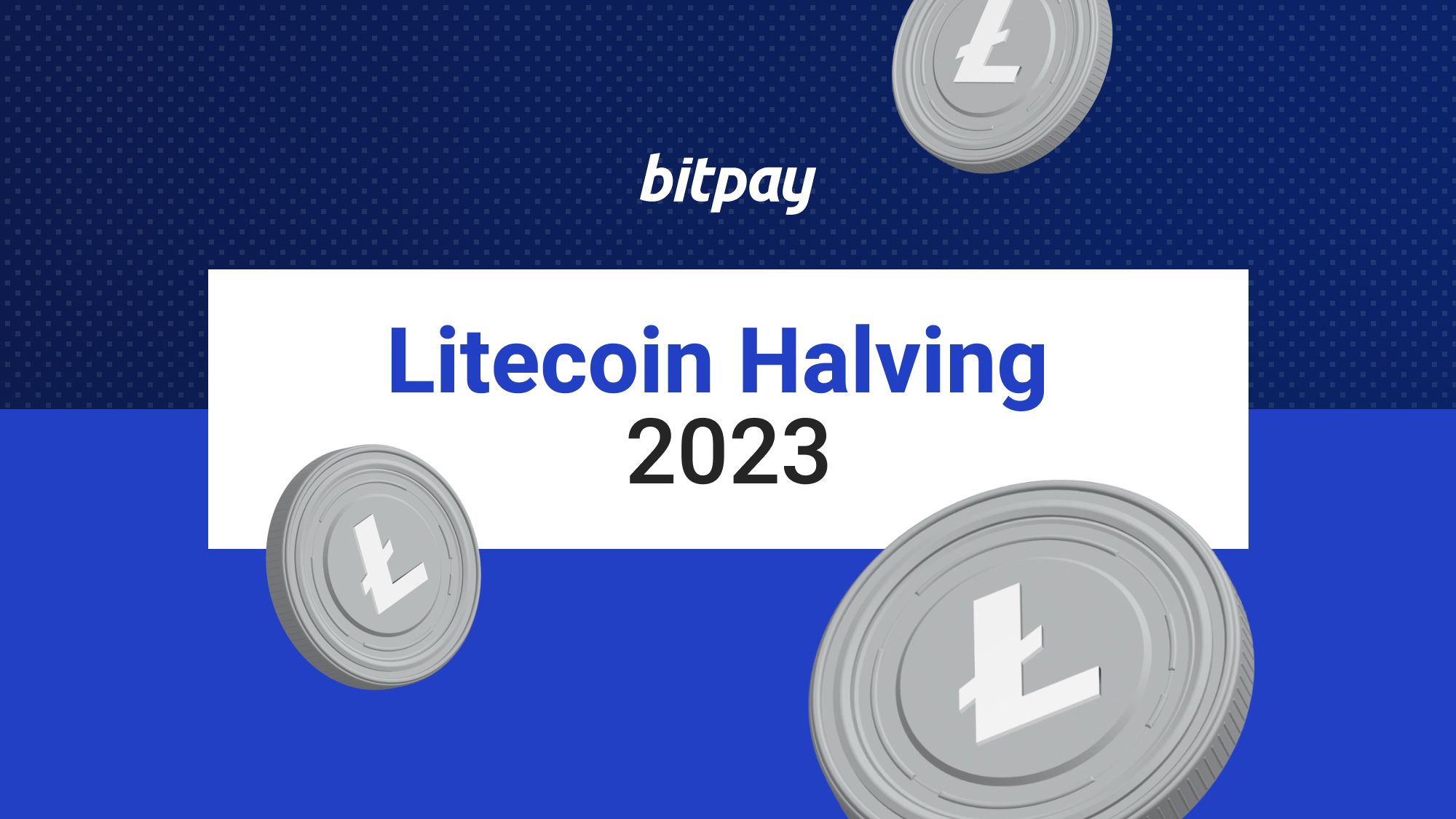 Litecoin Halving 2023 Explained & What it Means for LTC